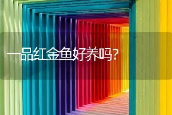 发财鱼相互撕咬是什么情况？求答案。谢谢？