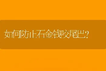 如何防止石金钱咬尾巴？