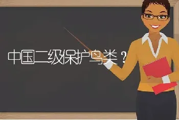 中国二级保护鸟类？