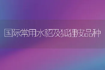 国际常用水貂及狐狸皮品种