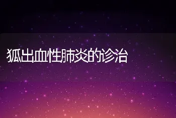 狐出血性肺炎的诊治