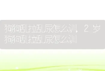 狗狗乱拉乱尿怎么训，2岁狗狗乱拉乱尿怎么训