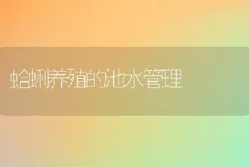 蛤蜊养殖的池水管理