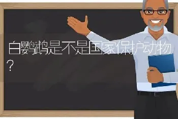 中华田园猫是什么意思？