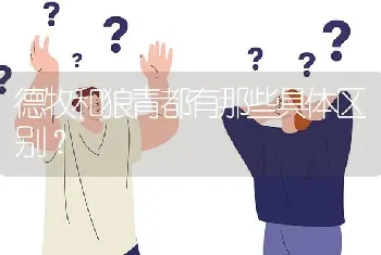 德牧和狼青都有那些具体区别？