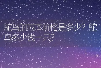 鸵鸟的成本价格是多少？鸵鸟多少钱一只？