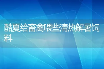 酷夏给畜禽喂些清热解暑饲料