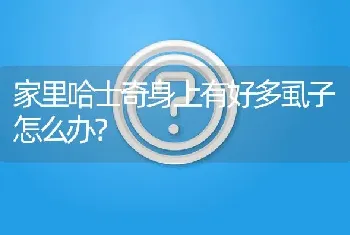 家里哈士奇身上有好多虱子怎么办？