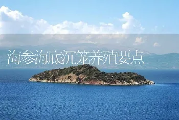 海参海底沉笼养殖要点