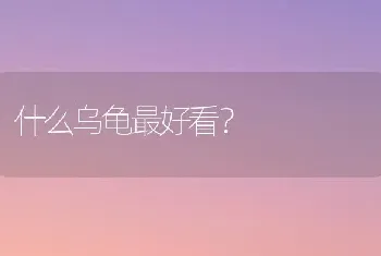 拉布拉多犬和金毛犬为什么长得很像？甚至分不出来？