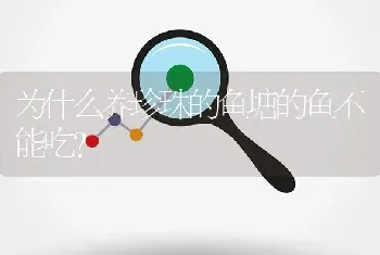 为什么养珍珠的鱼塘的鱼不能吃？