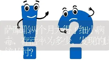 萨摩耶两个月大得了细小病毒，存活率为多少。发现的比较及时？