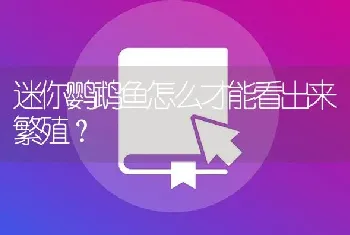 迷你鹦鹉鱼怎么才能看出来繁殖？