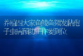 养殖四大家鱼鲮鱼频发黏孢子虫病预防工作要到位