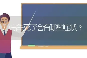 小乌龟死了会有哪些症状？