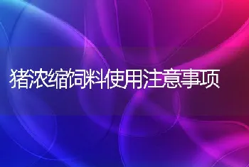 猪浓缩饲料使用注意事项