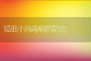 狐细小病毒病的防治