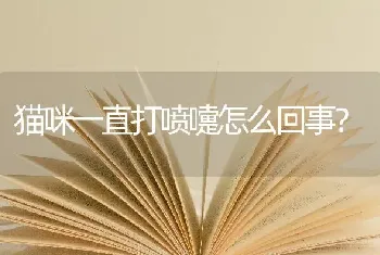 哈士奇公母性格区别？