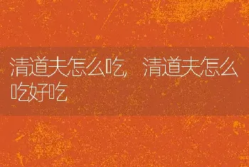 清道夫怎么吃，清道夫怎么吃好吃