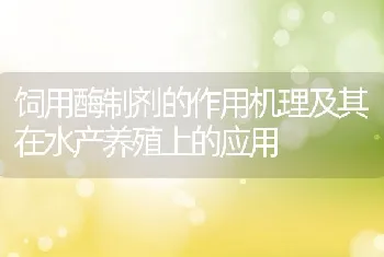 饲用酶制剂的作用机理及其在水产养殖上的应用