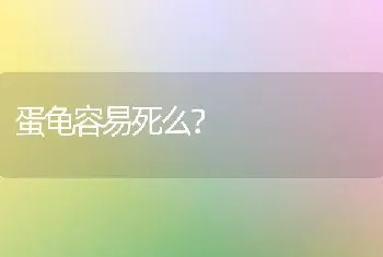 蛋龟容易死么？