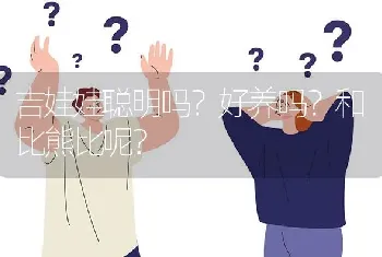 吉娃娃聪明吗？好养吗？和比熊比呢？