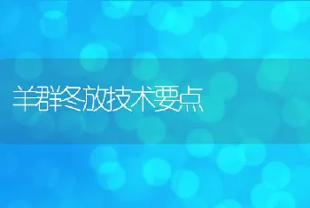 羊群冬放技术要点