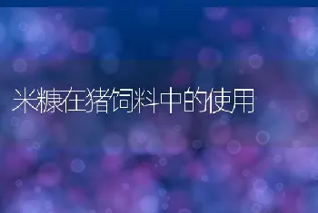 养犬年度管理费引发热议警方称海口收费不高