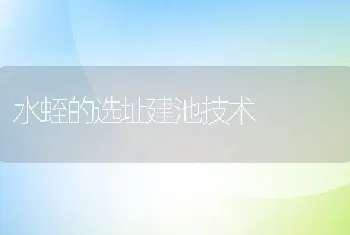 水蛭的选址建池技术