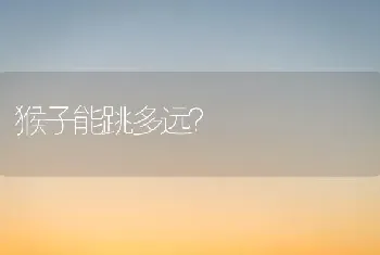 边牧身高对照表？