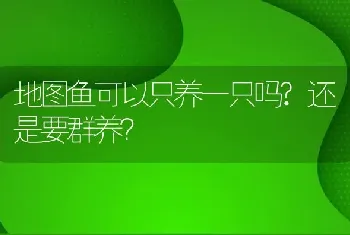 地图鱼可以只养一只吗？还是要群养？