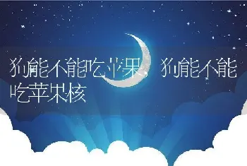 狗能不能吃苹果，狗能不能吃苹果核