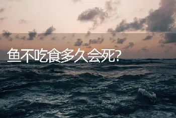 鱼不吃食多久会死？