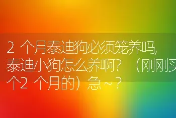 2个月泰迪狗必须笼养吗，泰迪小狗怎么养啊？（刚刚买个2个月的）急～？