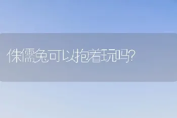 大冰《乖,摸摸头》中的一只狗的品种？