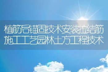 植筋后锚固技术安装拉结筋施工工艺园林土方工程技术