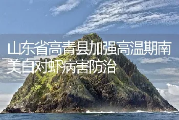 山东省高青县加强高温期南美白对虾病害防治