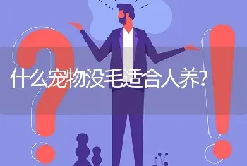 什么宠物没毛适合人养？