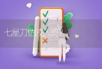 七星刀鱼咬人吗？