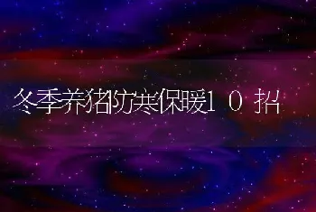 冬季养猪防寒保暖10招