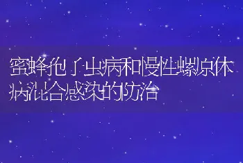 蜜蜂孢子虫病和慢性螺原体病混合感染的防治