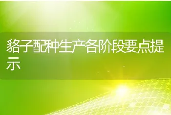 貉子配种生产各阶段要点提示