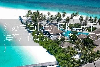 江苏南通市通州区指导员下海推广花蛤养殖新技术(图文)