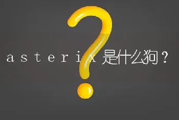 asterix是什么狗？