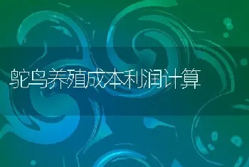 鸵鸟养殖成本利润计算