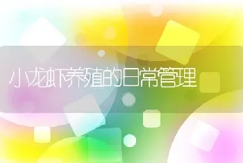 小龙虾养殖的日常管理