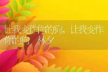 让我变作你的狗，让我变作你的狗 林夕