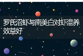 罗氏沼虾与南美白对虾混养效益好