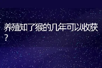 养殖知了猴的几年可以收获？