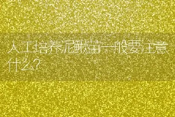 人工培养泥鳅苗一般要注意什么？